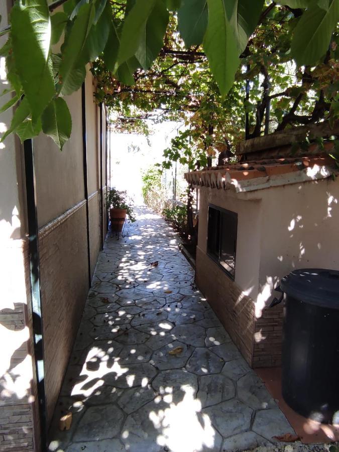 Los Abuelos Setenil De Las Bodegas Exterior foto
